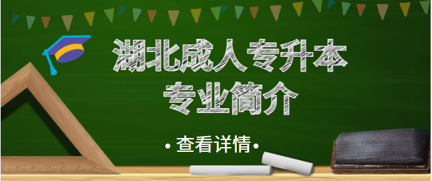 湖北成人高考專升本有什么專業參考